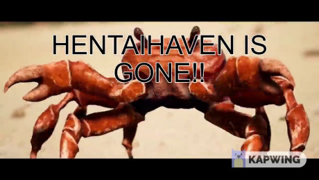 Hentaihaven Is Gone Youtube